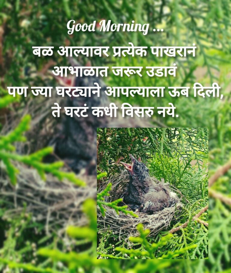 शुभ सकाळ संदेश /गुड मोर्निंग मेसेज /चांगले विचार/दिवसाची सुरुवात करूया एका चांगल्या विचारांनी/आपल्या माणसांसाठी मेसेज/Good Morning message/Good Morning thought/