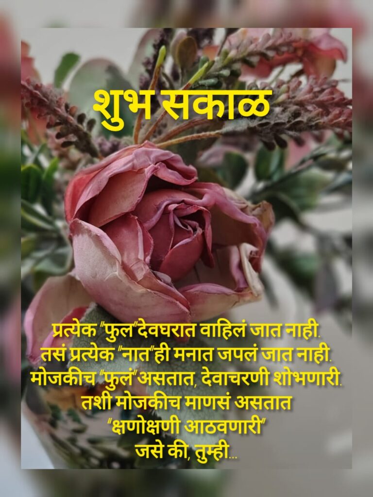 शुभ सकाळ संदेश /गुड मोर्निंग मेसेज /चांगले विचार/दिवसाची सुरुवात करूया एका चांगल्या विचारांनी/आपल्या माणसांसाठी मेसेज/Good Morning message/Good Morning thought/